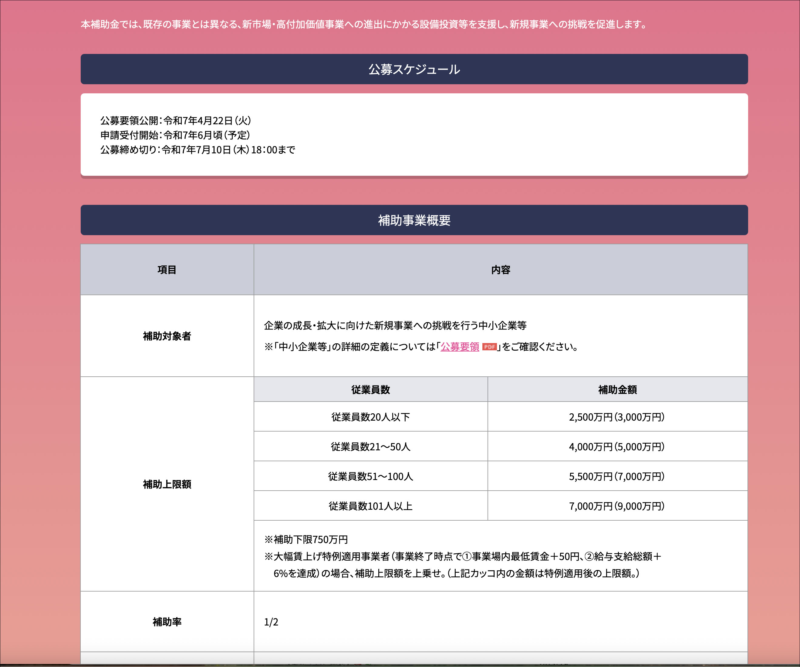 新事業進出補助金"/